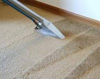 carpet cleaning Ldm services 351992 Image 4